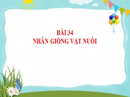 Bài giảng Công nghệ Khối 7 - Bài 34: Nhân giống vật nuôi