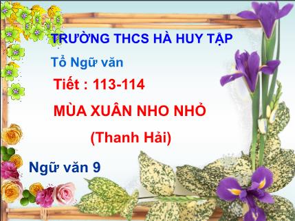 Bài giảng Ngữ văn Lớp 8 - Tiết 113+114: Mùa xuân nho nhỏ (Thanh Hải) - Trường THCS Hà Huy Tập