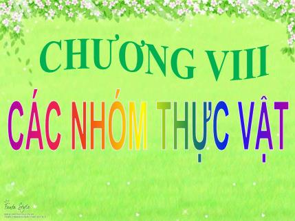 Bài giảng ôn tập Sinh học 6 - Bài 37: Tảo