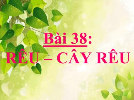 Bài giảng ôn tập Sinh học 6 - Bài 38: Rêu. Cây rêu