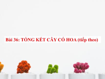 Bài giảng Sinh học 6 - Bài 36: Tổng kết cây có hoa (Tiếp theo)