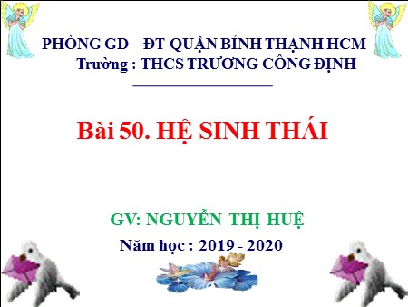 Bài giảng Sinh học 9 - Bài 50: Hệ sinh thái - Năm học 2019-2020 - Nguyễn Thị Huệ