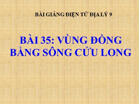 Bài giảng Địa lí 9 - Tiết 39, Bài 35: Vùng đồng bằng sông Cửu Long