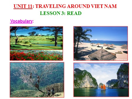 Bài giảng English 8 - Unit 11: Traveling around Viet nam - Lesson 3: Read