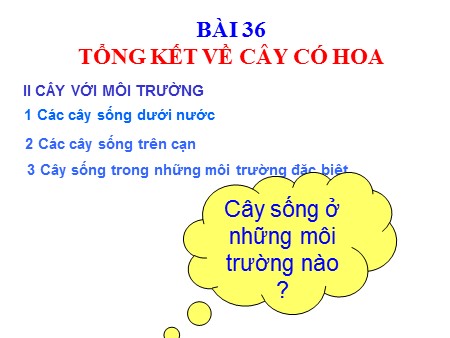 Bài giảng Sinh học 6 - Bài 36: Tổng kết về cây có hoa