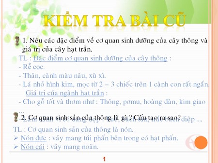 Bài giảng Sinh học 6 - Bài 41: Hạt kín và đặc điểm của thực vật hạt kín