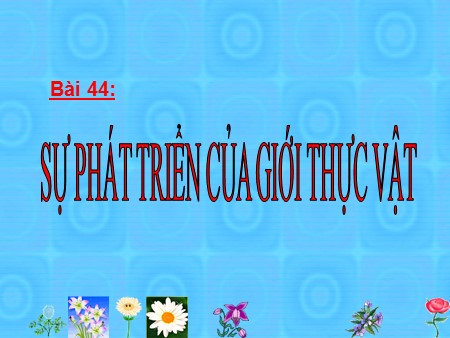 Bài giảng Sinh học 6 - Bài 44: Sự phát triển của giới thực vật