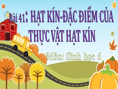 Bài giảng Sinh học 6 - Tiết 50, Bài 41: Hạt kín và đặc điểm của thực vật hạt kín