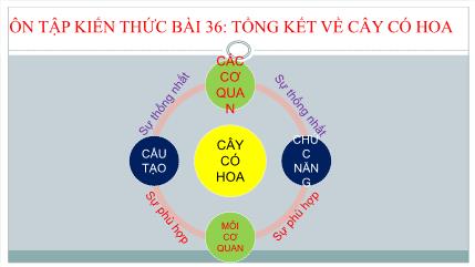 Bài giảng Sinh học 6 - Tuần 24, Bài 37: Tảo