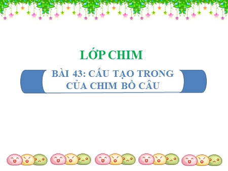 Bài giảng Sinh học 7 - Bài 43: Cấu tạo trong của chim bồ câu