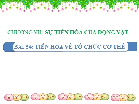 Bài giảng Sinh học 7 - Bài 54: Tiến hóa về tổ chức cơ thể