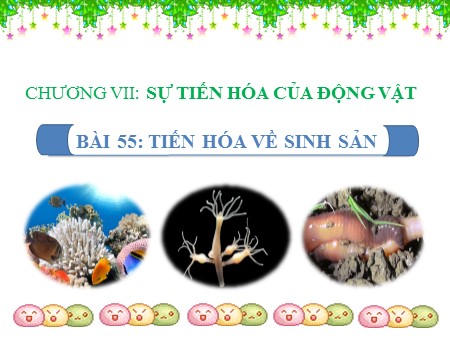 Bài giảng Sinh học 7 - Bài 55: Tiến hóa về sinh sản