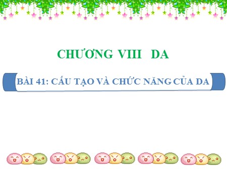 Bài giảng Sinh học 8 - Bài 41: Cấu tạo và chức năng của da