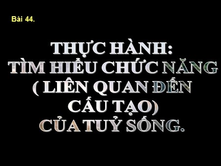 Bài giảng Sinh học 8 - Bài 44: Thực hành Tìm hiểu chức năng (liên quan đến cấu tạo) của tuỷ sống