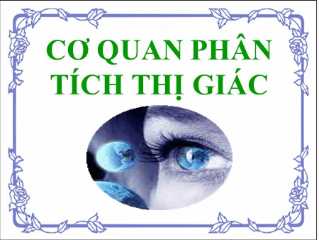 Bài giảng Sinh học 8 - Bài 49: Cơ quan phân tích thị giác