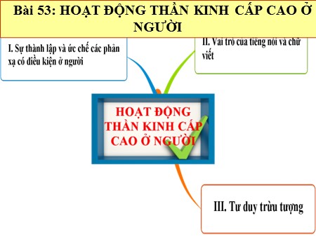 Bài giảng Sinh học 8 - Bài 53: Hoạt động thần kinh cấp cao ở người