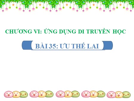 Bài giảng Sinh học 9 - Bài 35: Ưu thế lai