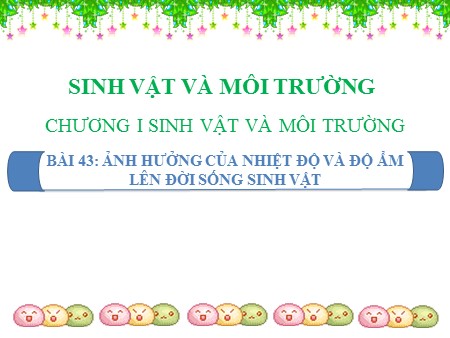 Bài giảng Sinh học 9 - Bài 43: Ảnh hưởng của nhiệt độ và độ ẩm lên đời sống sinh vật