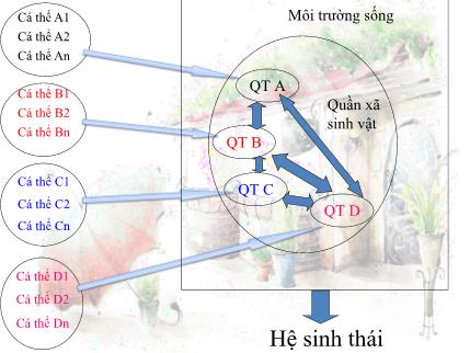 Bài giảng Sinh học 9 - Tuần 24, Bài 50: Hệ sinh thái