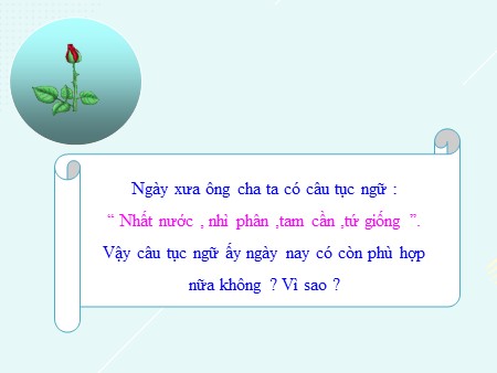 Bài giảng Sinh học Lớp 9 - Bài 37: Thành tựu chọn giống ở Việt Nam