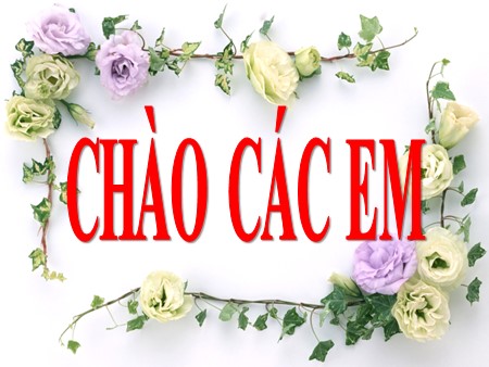 Bài giảng Toán 7 - Bài 5: Đa thức