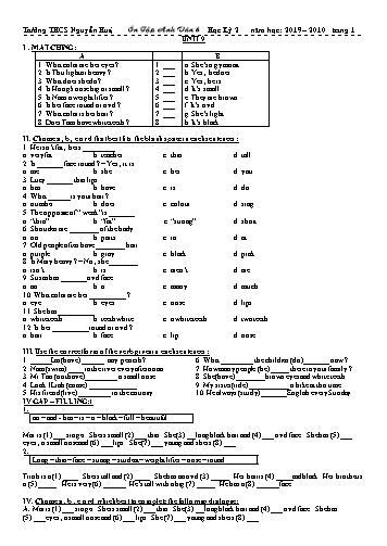 Bài tập ôn tập học kỳ 2 môn Tiếng Anh Lớp 6 - Unit 9 đến 16 - Năm học 2019-2020 - Trường THCS Nguyễn Huệ