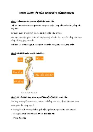 Đề cương ôn tập kiểm tra học kỳ II môn Sinh học Lớp 8