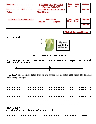 Đề kiểm tra học kì II Sinh học Khối 6 - Năm học 2019-2020 - Trường THCS Hoàng Quốc Việt (Kèm đáp án)