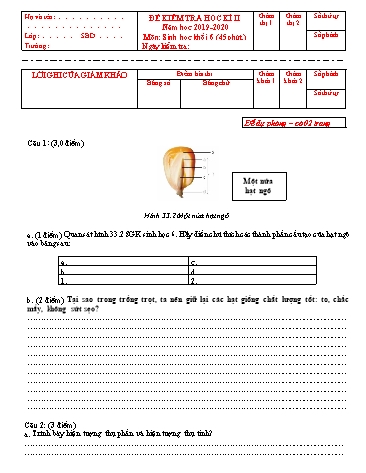 Đề kiểm tra học kì II Sinh học Khối 6 - Năm học 2019-2020 - Trường THCS Hoàng Quốc Việt (Kèm đáp án và ma trận đề)