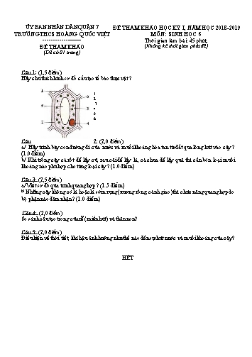 Đề tham khảo học kỳ I môn Sinh học 6 - Năm học 2018-2019 - Trường THCS Hoàng Quốc Việt (Có đáp án)