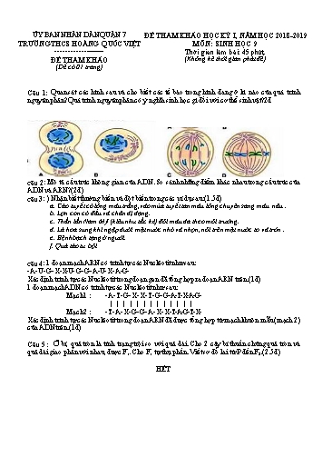 Đề tham khảo học kỳ I môn Sinh học Khối 9 - Năm học 2018-2019 - Trường THCS Hoàng Quốc Việt (Có đáp án)