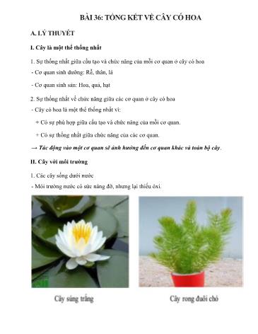 Giáo án ôn tập Sinh học Lớp 6 - Bài 36: Tổng kết về cây có hoa