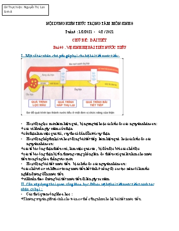 Giáo án ôn tập Sinh học Lớp 8 - Bài 40+41 - Năm học 2020-2021 - Nguyễn Thị Lan