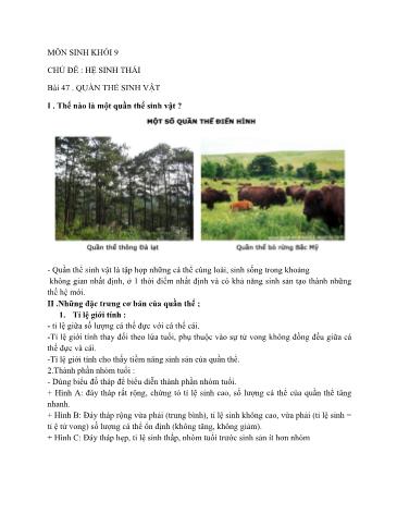 Giáo án ôn tập Sinh học Lớp 9 - Bài 47 đến 50