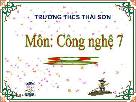 Bài giảng Công nghệ 7 - Bài 10: Phòng và trị bệnh cho vật nuôi - Trường THCS Thái Sơn
