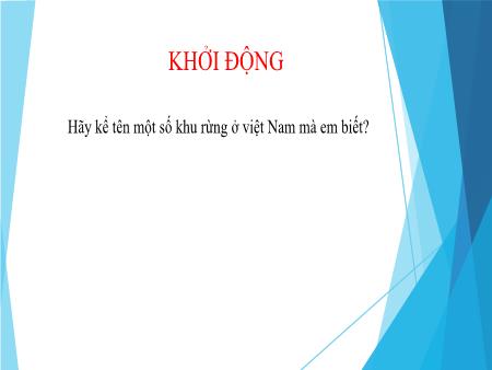 Bài giảng Công nghệ 7 - Bài 4: Giới thiệu chung về rừng