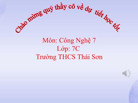 Bài giảng Công nghệ 7 - Bài 6: Chăm sóc rừng sau khi trồng - Trường THCS Thái Sơn