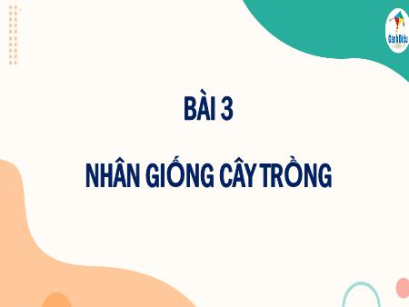Bài giảng Công nghệ 7 (Cánh diều) - Bài 3: Nhân giống cây trồng