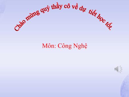 Bài giảng Công nghệ 7 (Cánh diều) - Bài 6: Chăm sóc rừng sau khi trồng (Tiết 1)