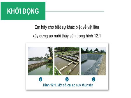 Bài giảng Công Nghệ Lớp 7 - Bài 12: Quy trình nuôi cá nước ngọt trong ao