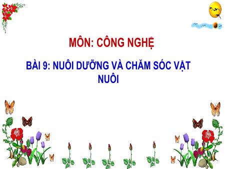 Bài giảng Công Nghệ Lớp 7 - Bài 9: Nuôi dưỡng và chăm sóc vật nuôi