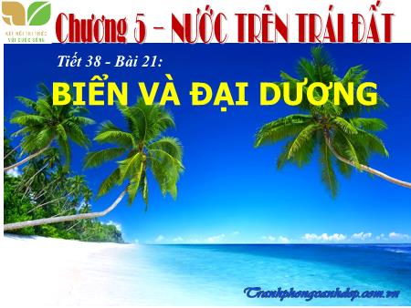 Bài giảng Địa Lí 6 (Kết nối tri thức) - Chương 5 - Bài 21: Biển và đại dương (Tiết 38)
