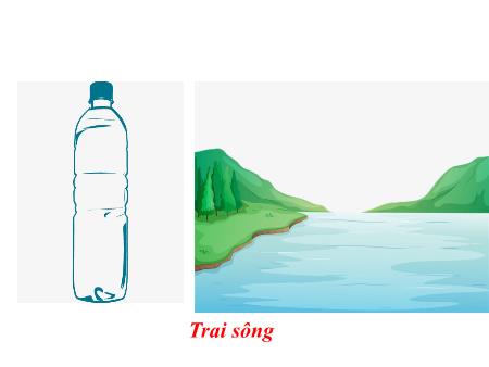 Bài giảng Khoa học tự nhiên 7 - Bài 21: Đặc điểm chung và vai trò của ngành Thân mềm