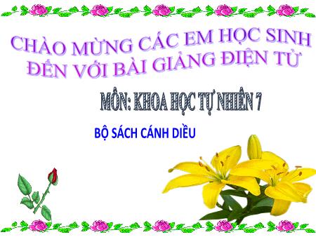 Bài giảng Khoa học tự nhiên 7 (Cánh diều) - Chủ đề 8 - Bài 20: Thực hành về quang hợp ở cây xanh