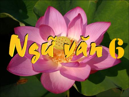 Bài giảng Ngữ văn 6 (Cánh diều) - Bài 3: Trong lòng mẹ