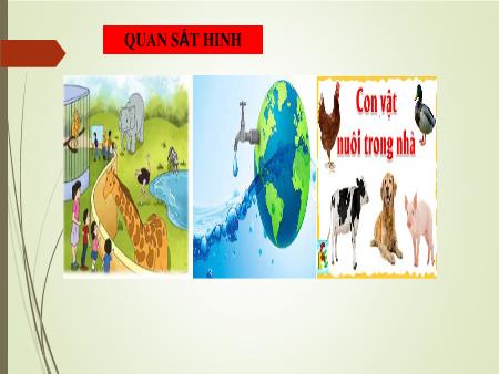 Bài giảng Ngữ văn 6 - Viết bài văn trình bày ý kiến về một hiện tượng trong đời sống