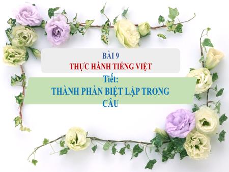 Bài giảng Ngữ văn 8 - Bài 9: Thực hành tiếng việt - Thành phần biệt lập trong câu