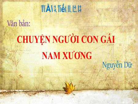 Bài giảng Ngữ văn 9 - Tuần 3 - Bài 4: Chuyện người con gái Nam Xương (Tiết 11+12+13)