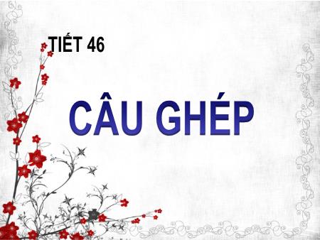 Bài giảng Ngữ Văn Lớp 8 - Bài 11: Câu ghép (Tiết 46)