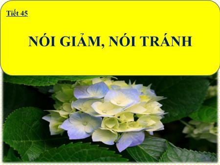 Bài giảng Ngữ Văn Lớp 8 - Tiết 45: Nói giảm nói tránh